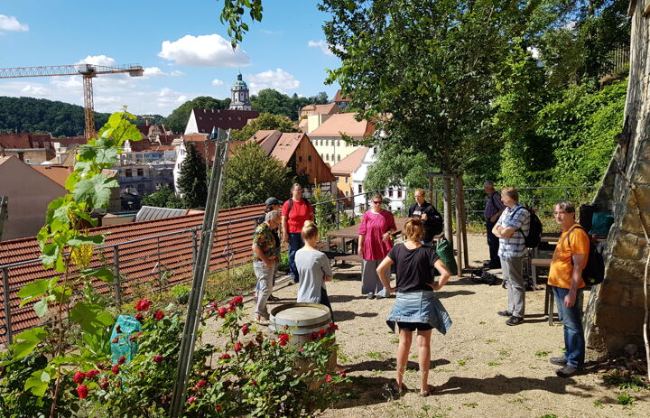 Seminarteilnehmende stehen im Sonnenschein am Weinberg am Burgberg Meißen und hören der Stadtführerin zu