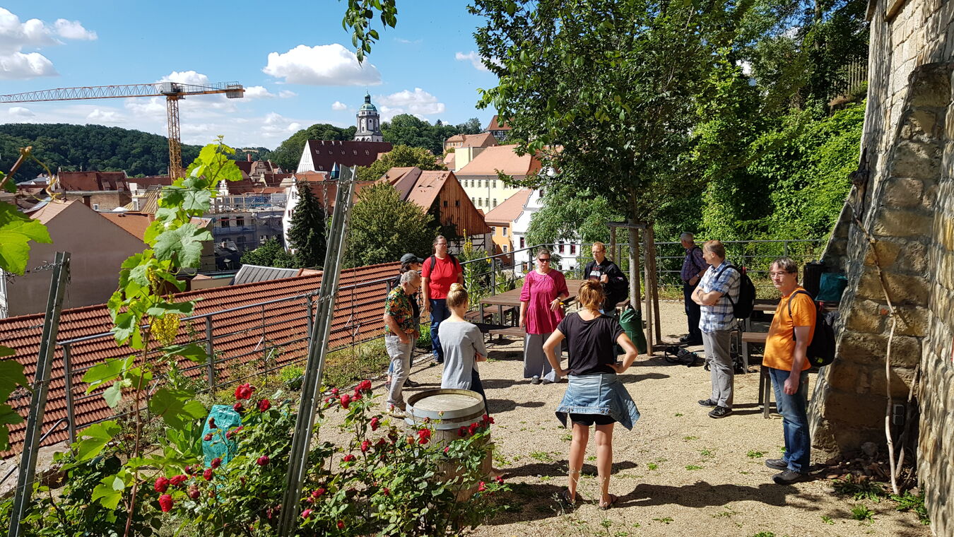 BFD-Seminar Burgberg Meißen