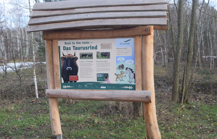 Infotafel aus Robienholz am Bockwitzer See - Link: MDR-Sachsenspiegel berichtet: Am Schlafplatz der nordischen Gänse