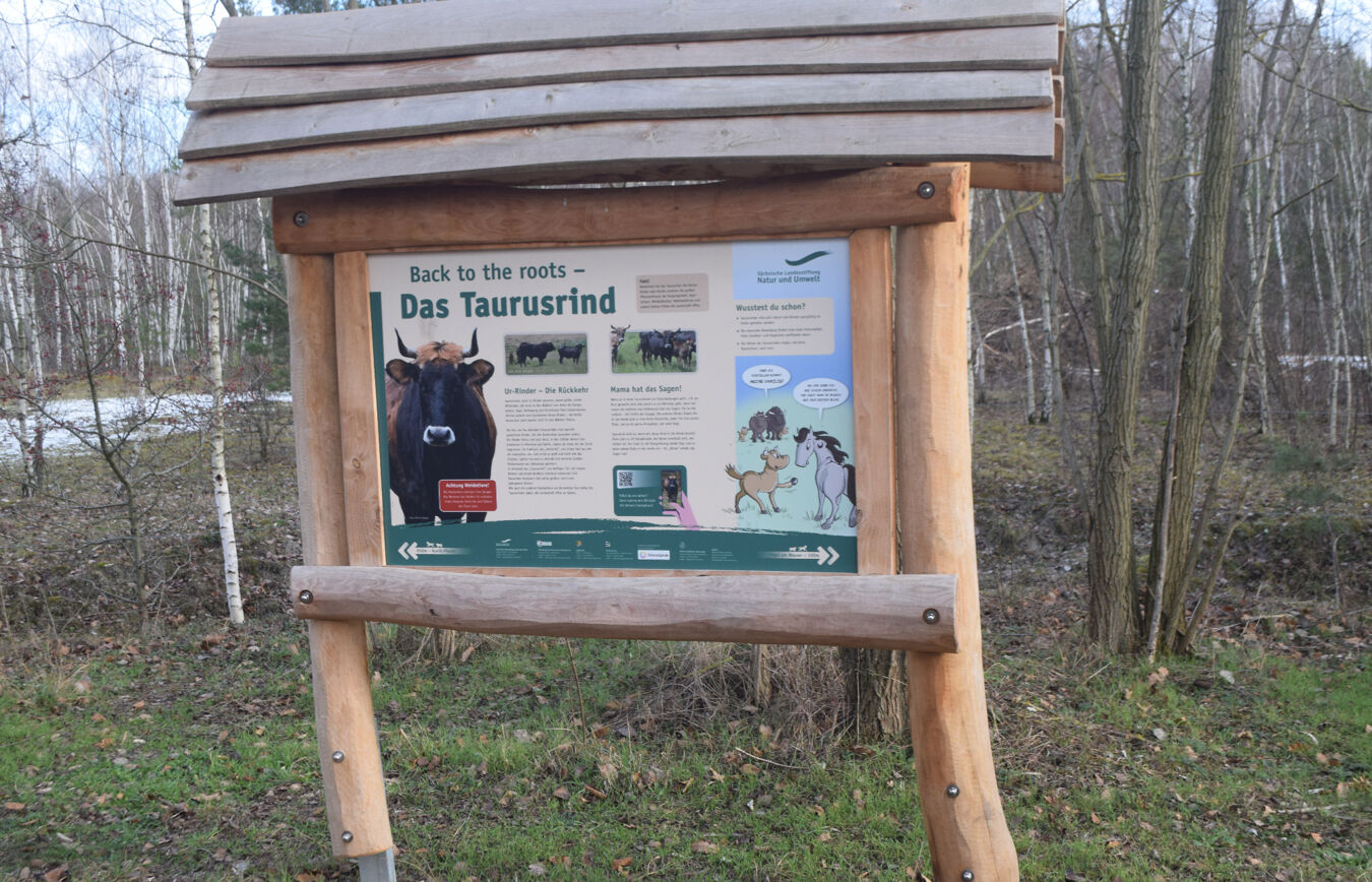 Naturlehrpfad am Bockwitzer See