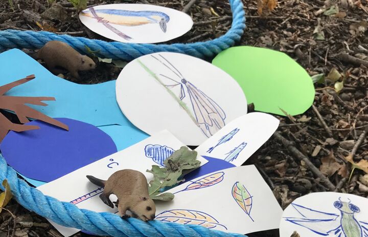 Link: Aktive Methodenwerkstatt