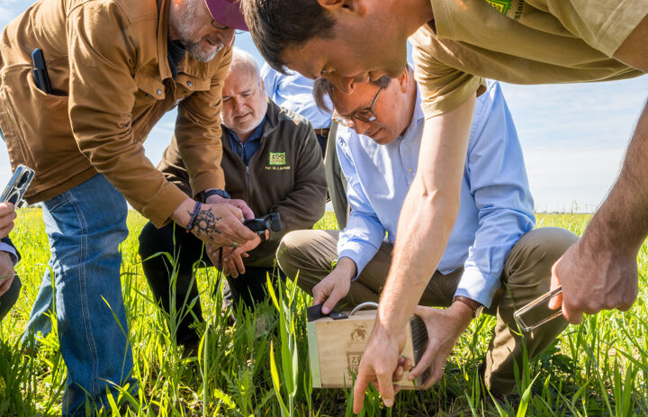 Sachsens Umwelt- und Landwirtschaftsminister Georg-Ludwig von Breitenbuch und Prof. Jörg Junhold, Direktor des Leipziger Zoos aktiv bei der Auswilderung