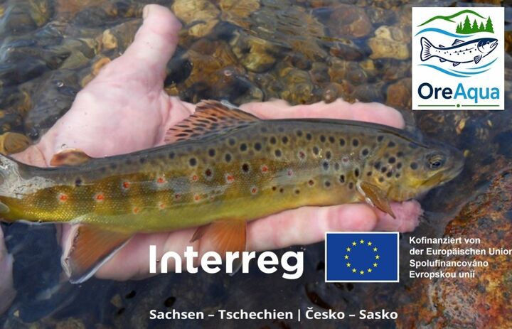 Link: Auftaktveranstaltung zum INTERREG-Projekt OreAqua