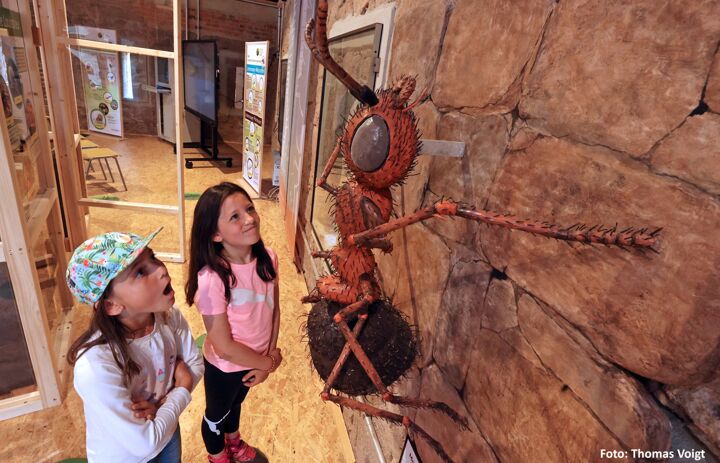 Kinder in der Ausstellung