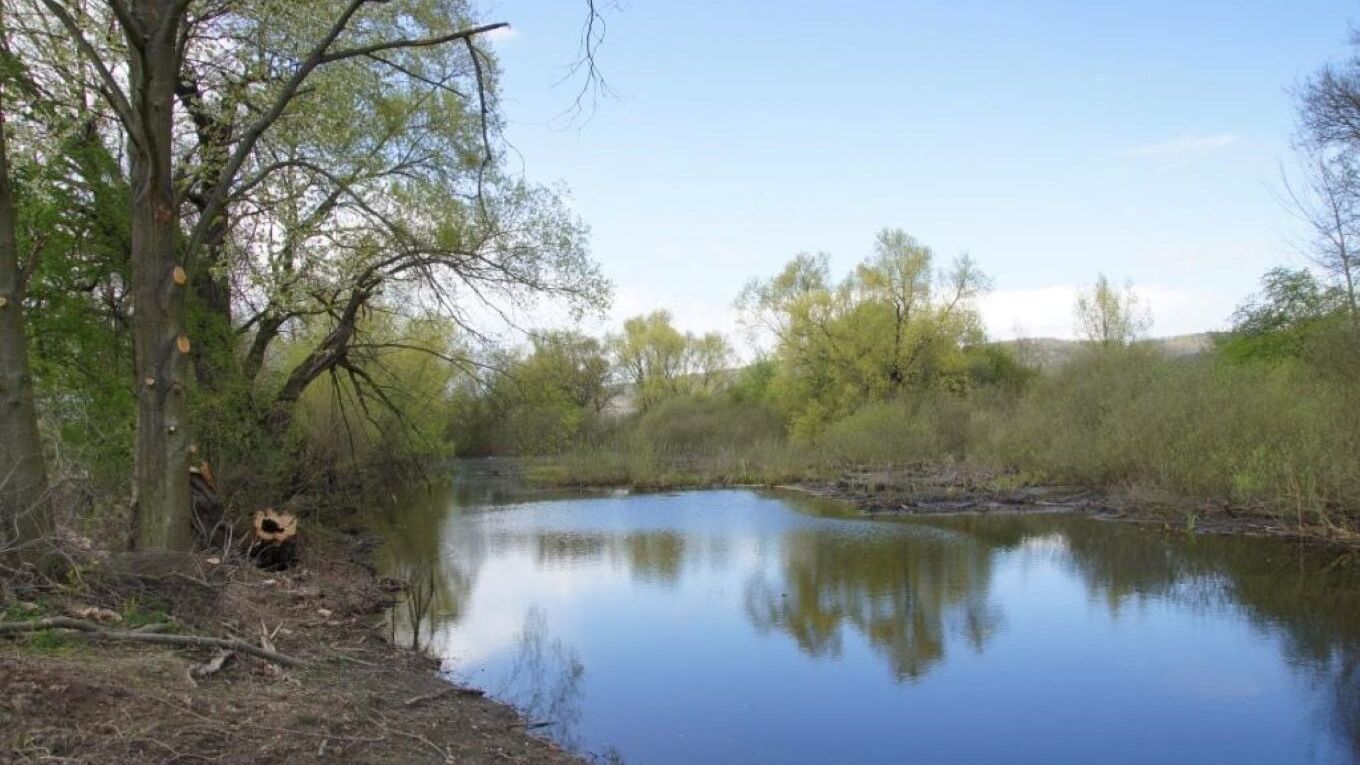 Das Bild zeigt ein Fließgewässer mit den gegenüberliegenden Ufern und Baumbestand.