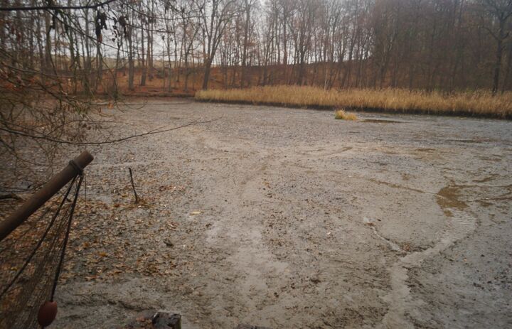 Nach Ablassen des Wassers ist der Burgstädelteich leer - und wird es den Winter über bleiben.