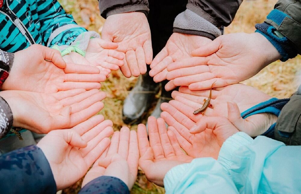 Ein Molch läuft über Kinderhände die einen Kreis bilden (Foto: Robert Michalk).
