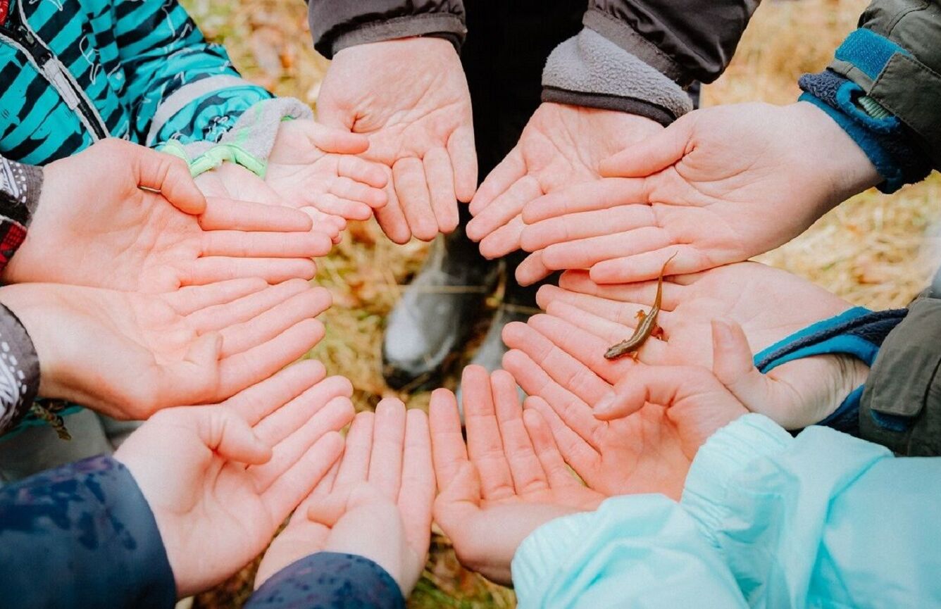 Kinderhände bilden einen Kreis. Ein Molch läuft darüber.
