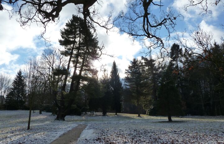 Ansicht des Schlossparks Wechselburg im Winter