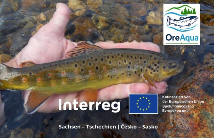 Link: Fachexkursion an der Kamenice