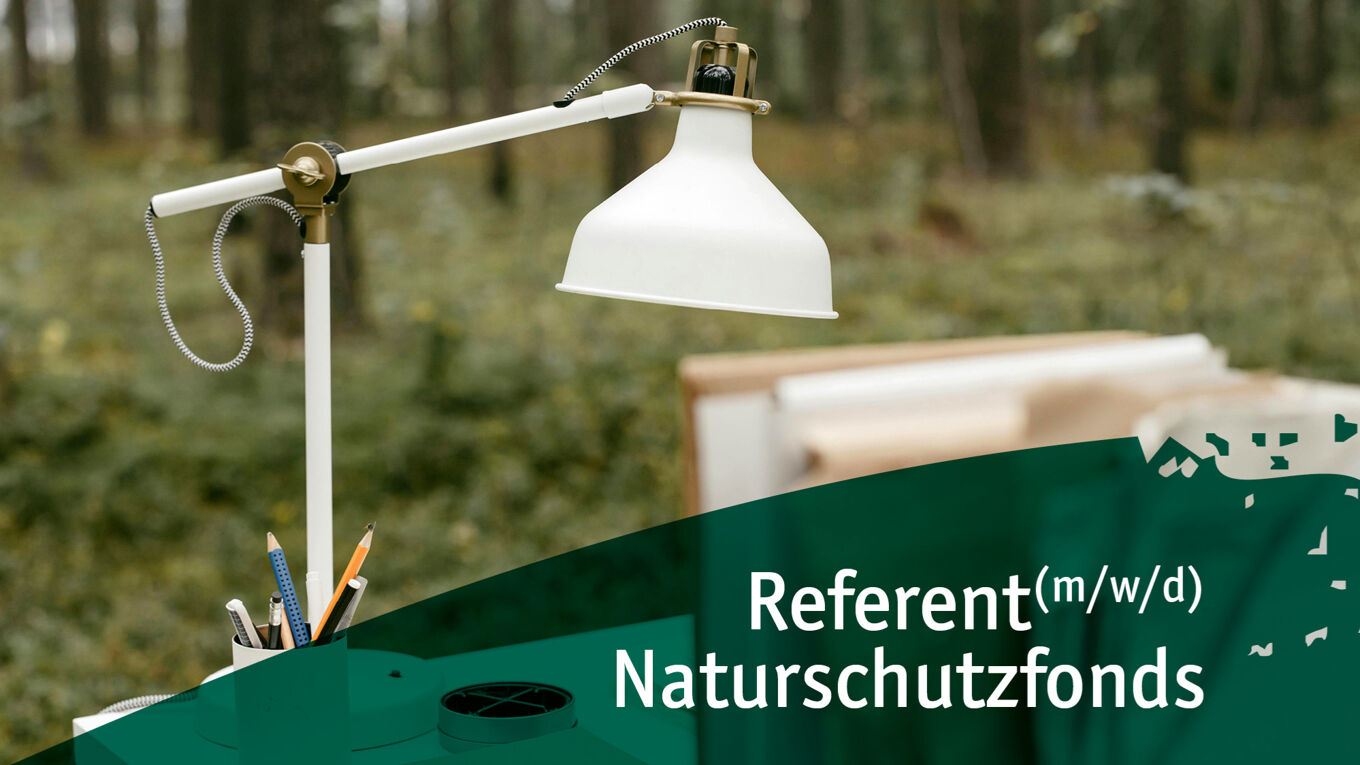 Ein Schreibtisch im Wald
