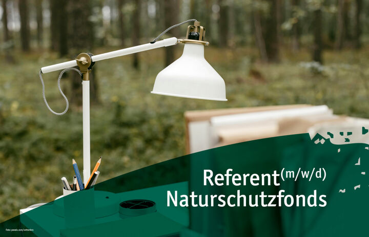 Ein Schreibtisch im Wald - Link: Referent (m/w/d) Naturschutzfonds
