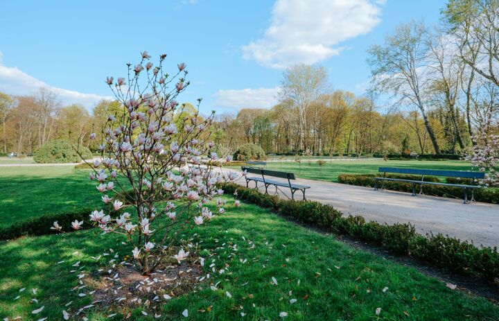 Link: Stellenausschreibung: Projektmitarbeiter (m/w/d) Botanische Gärten in Sachsen