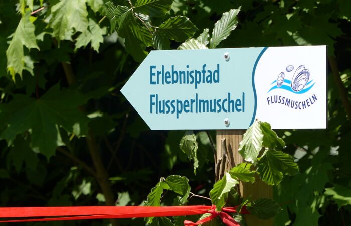 Ein Wegweiser mit der Aufschrift: Erlebnispfad Flussperlmuschel.