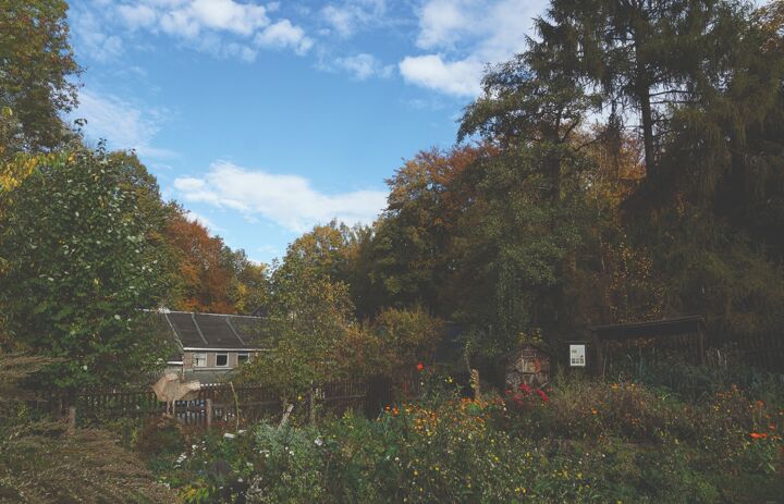 Das Bild zeigt den Garten der Naturherberge Affalter.